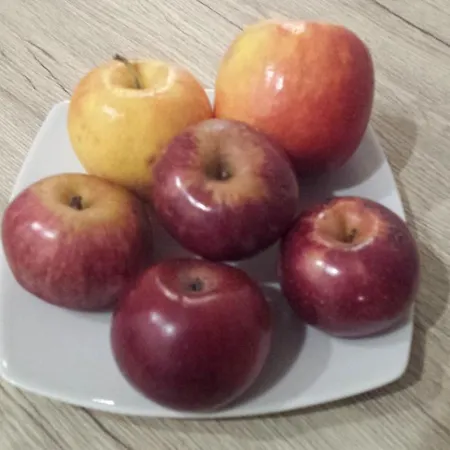 Frühstückspension Filì 3*