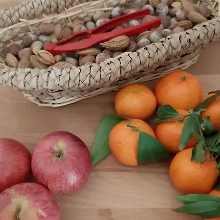 Filì Frühstückspension 3*